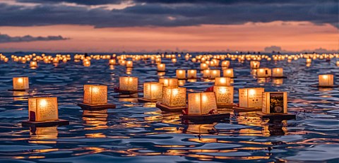 Better Luminary Candles Save up to 10% on Luminary Candles! Made in the USA! Buy More, Save More!